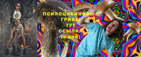метадон Михайлов