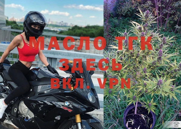 метадон Михайлов