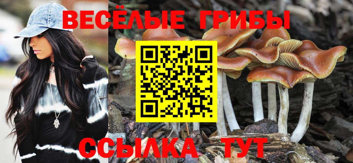 Псилоцибиновые грибы мухоморы  Приморско-Ахтарск 