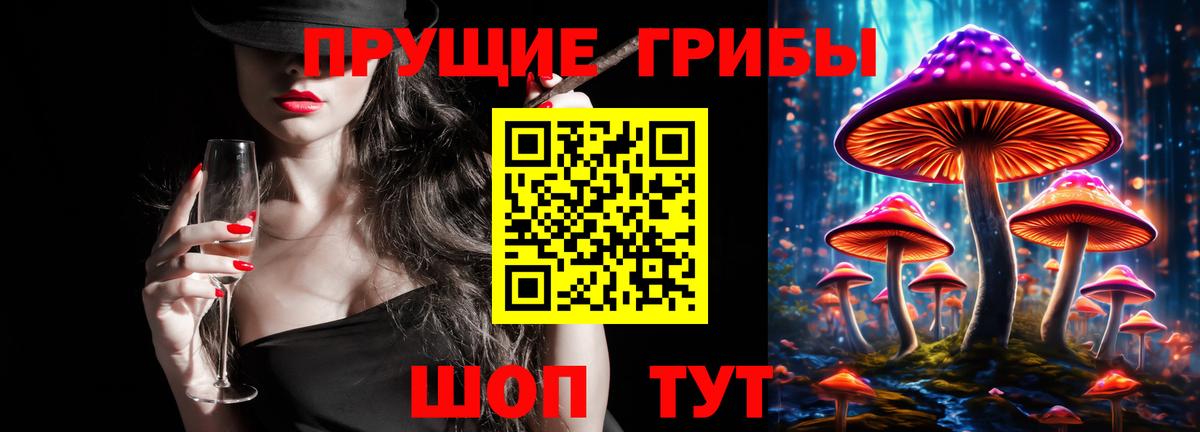 Галлюциногенные грибы Psilocybine cubensis Приморско-Ахтарск