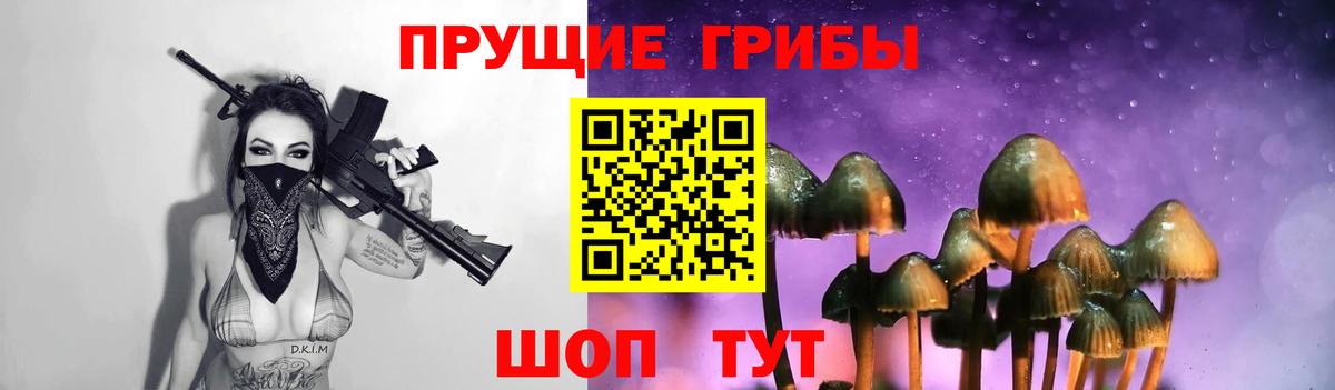 Приморско-Ахтарск  Псилоцибиновые грибы GOLDEN TEACHER  Вход с VPN  Псилоцибиновые грибы Psilocybe 